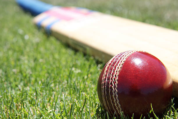 The role of cricket in promoting mental health awareness: Initiatives for fans and players