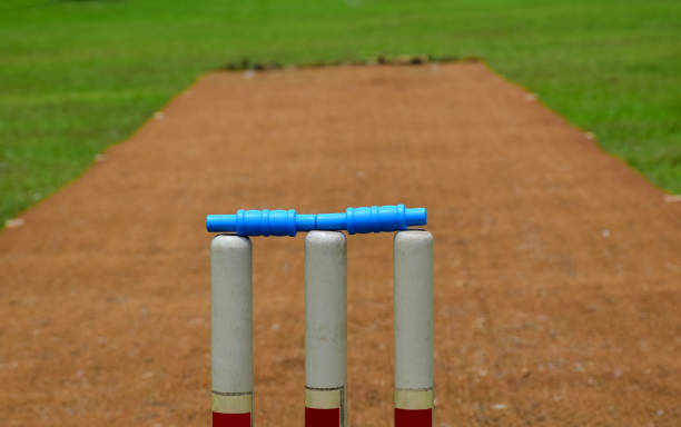 The impact of cricket on indigenous music: Celebrating cultural rhythms and melodies