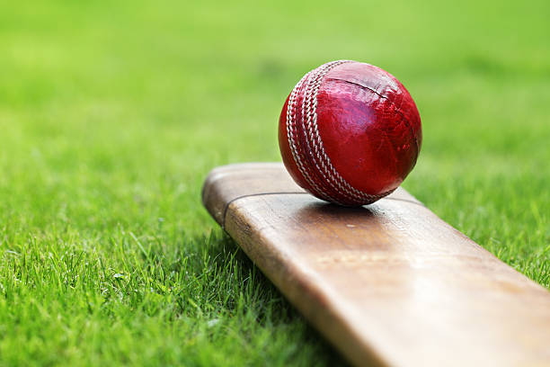 The role of cricket in promoting mental health resilience: Programs for players and fans alike