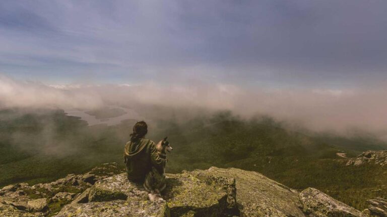 Where Can I Get The 99 Exch Apk Download Link?