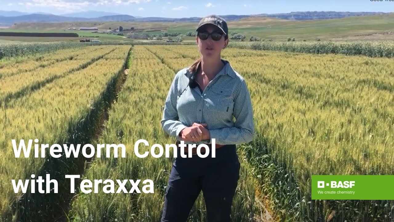 Unlocking the Power of an Online Cricket ID: A Complete Guide for Players