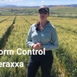 Unlocking the Benefits of an Online Cricket ID: Your Gateway to Digital Cricket Experiences